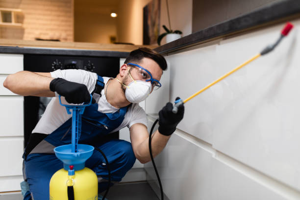 Best Mosquito Control Services  in Thornton, IL