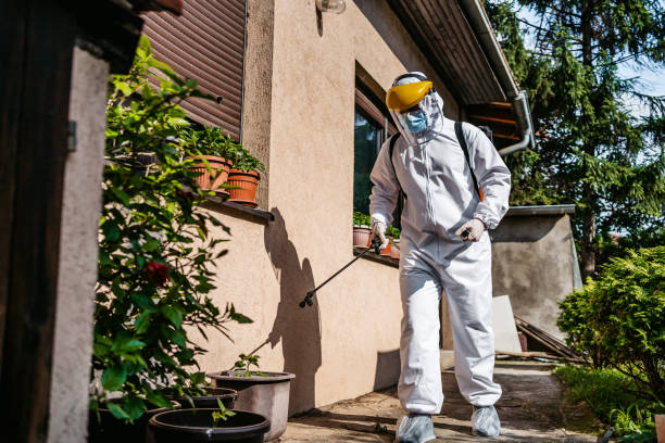 Best Rat Extermination Near Me  in Thornton, IL