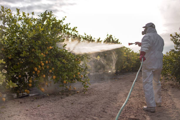 Best Best Pest Control Companies  in Thornton, IL