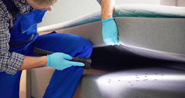 Best Commercial Pest Control Services  in Thornton, IL