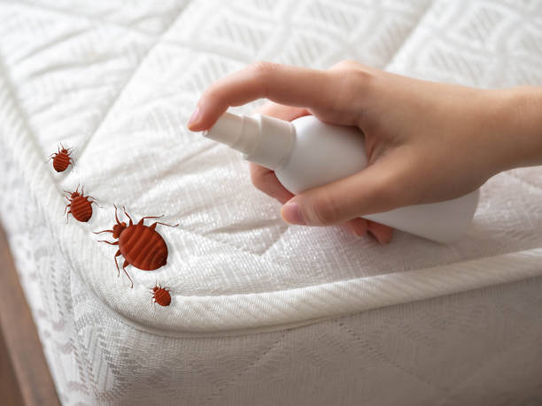 Pest Control Cost in Thornton, IL